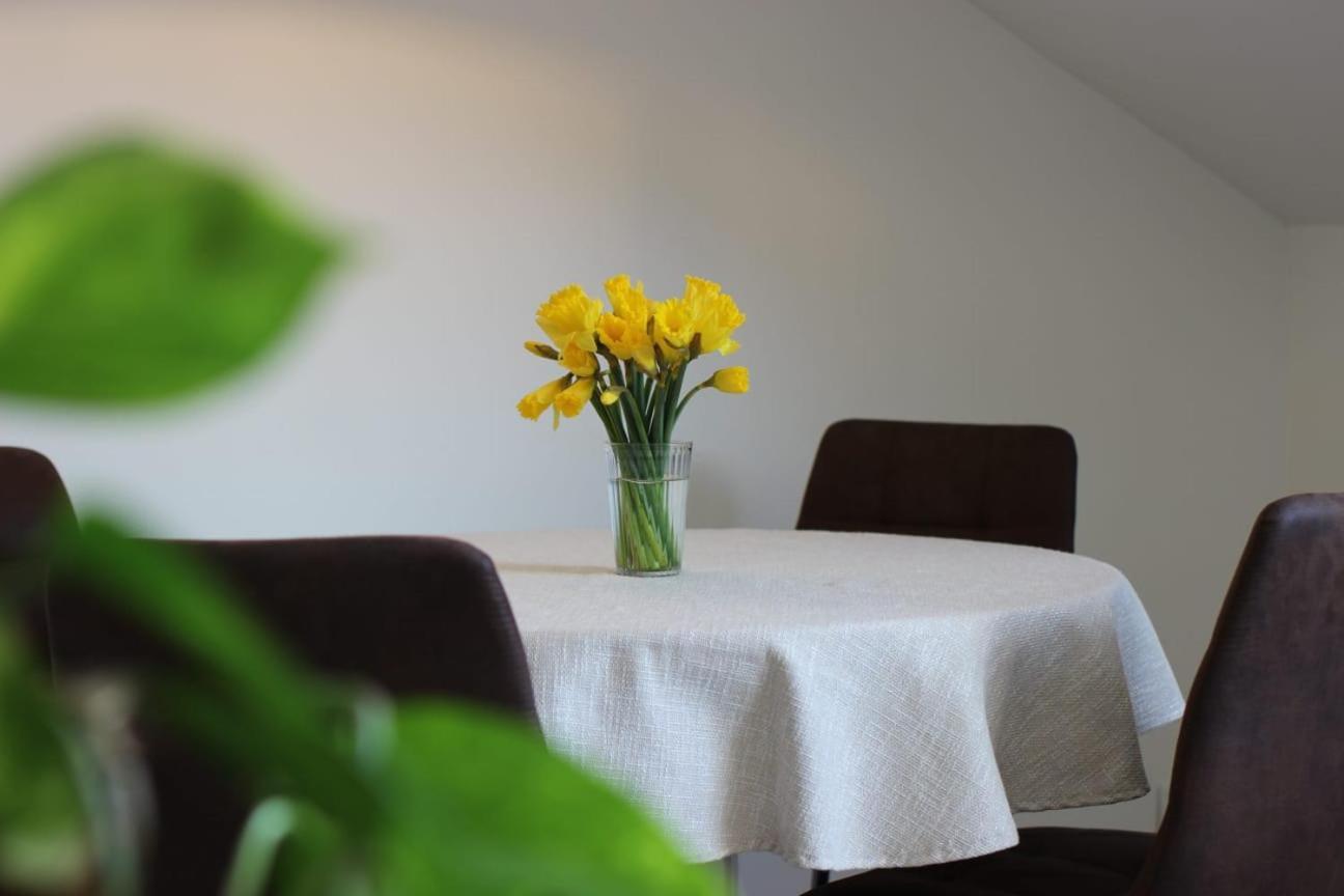 Theatre Attico Teatro Apartment Merano